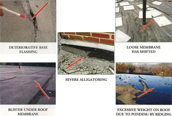 Roof Inspection Roof Inspection